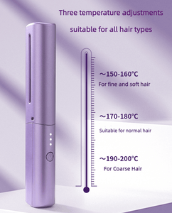 Mini alisador de cabelo recarregável (COMPRE MAIS ECONOMIZE MAIS) -unitmotor™